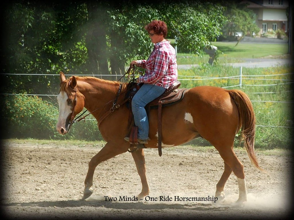 Two Minds - One Ride Horsemanship | 2058 Landry St, Clarence Creek, ON K0A 1N0, Canada | Phone: (819) 712-3565