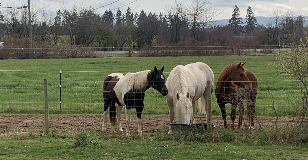 Little Blackbird Farm | 1885 Wilmot Rd, Cowichan Bay, BC V0R 1N1, Canada | Phone: (250) 888-5816