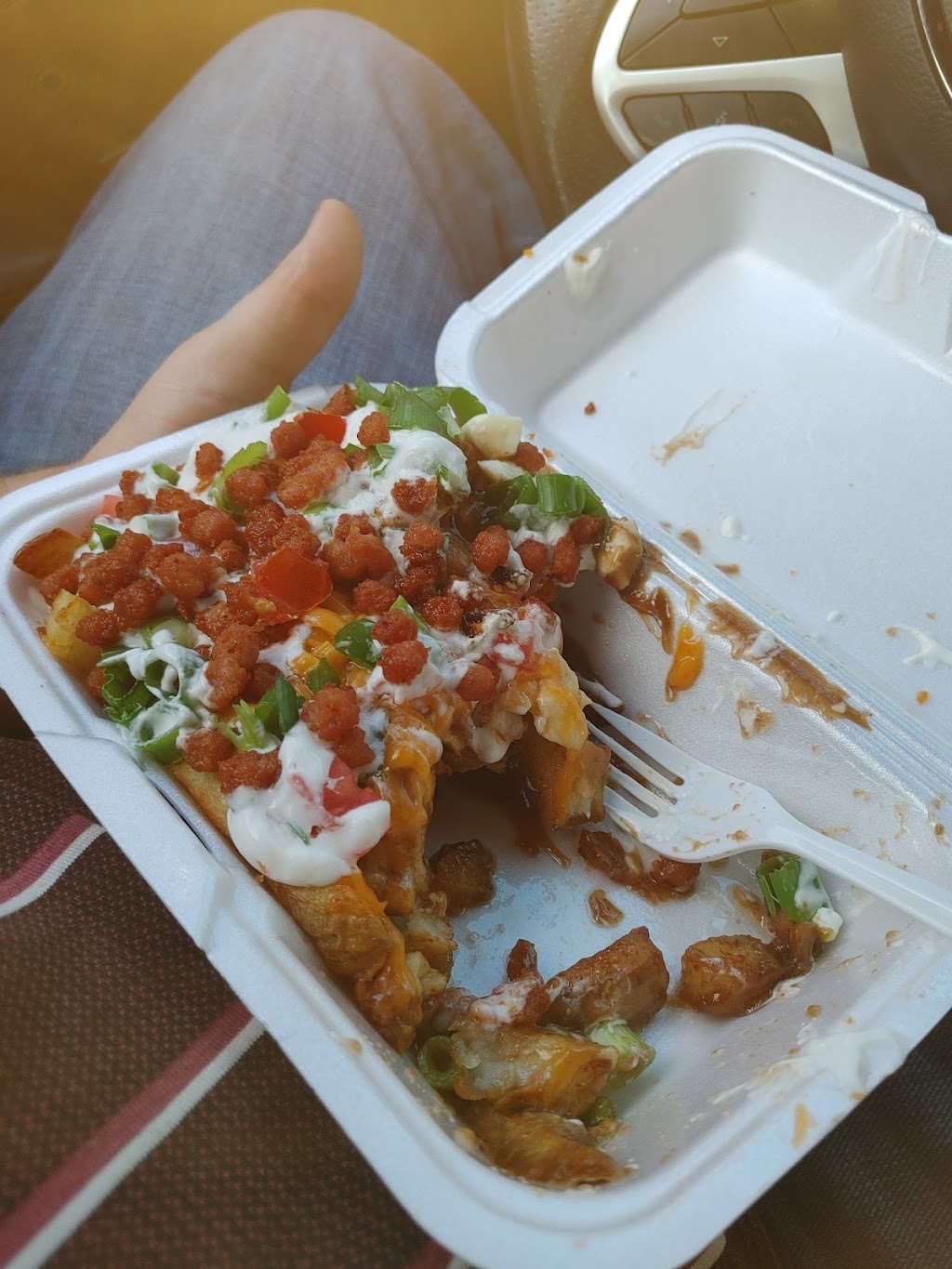 Gators Fries | 185 College St E, Belleville, ON K8N 2V7, Canada | Phone: (613) 922-1488
