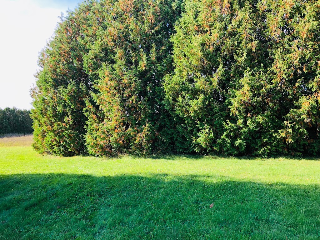 Peel Landscaping Ltd | 19002 Hurontario St, Caledon Village, ON L7K 1W6, Canada | Phone: (519) 927-9404