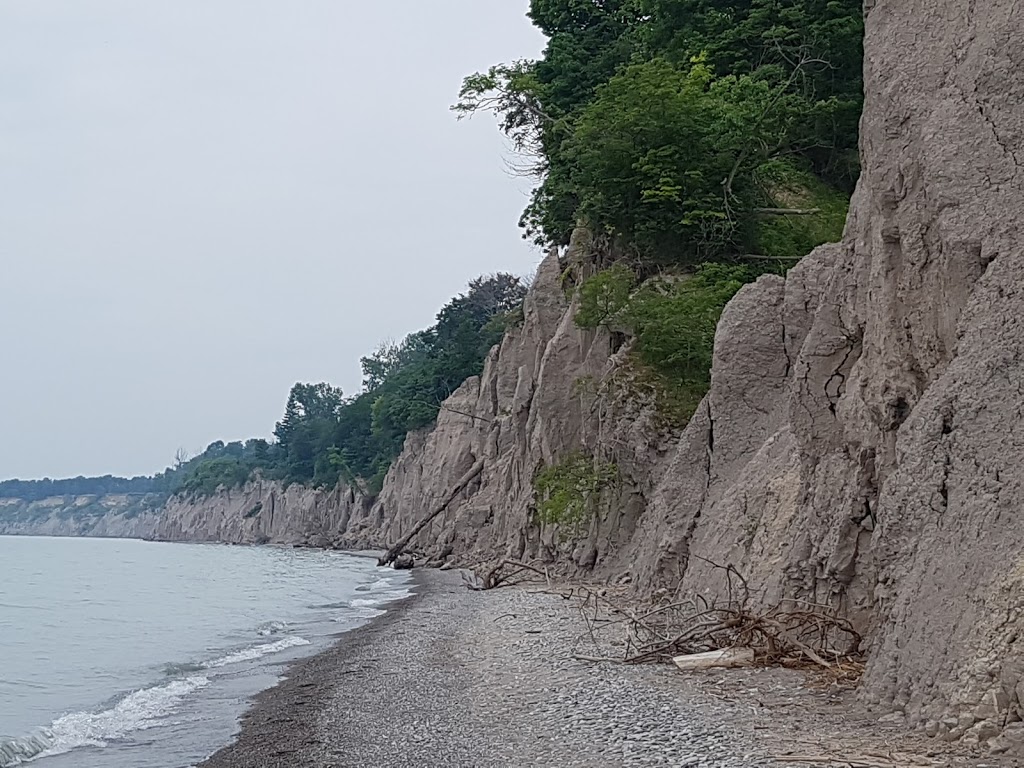John E. Pearce Provincial Park | 29424 Lakeview Line, Wallacetown, ON N0L 2M0, Canada | Phone: (519) 874-4691