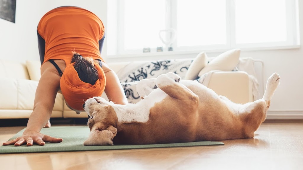 Banfield Pet Hospital | 4379 Meridian St, Bellingham, WA 98226, USA | Phone: (360) 734-9459