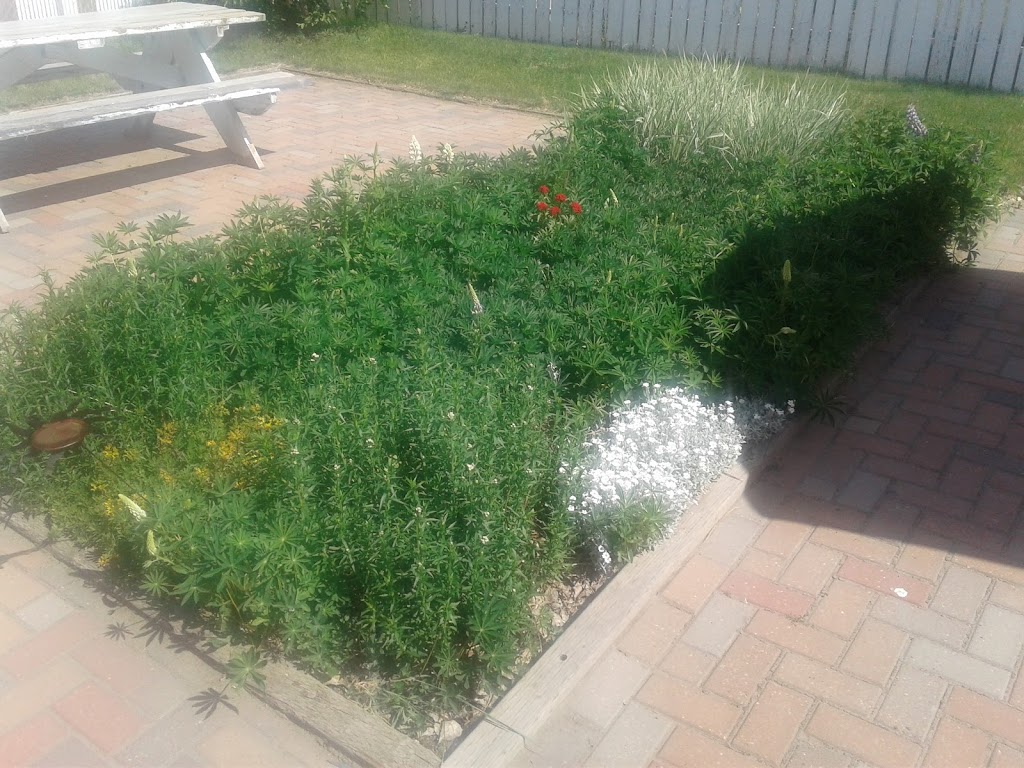 Asteroid Cater | 163 Centre St, Rosedale, AB T0J 2V0, Canada | Phone: (403) 821-4152