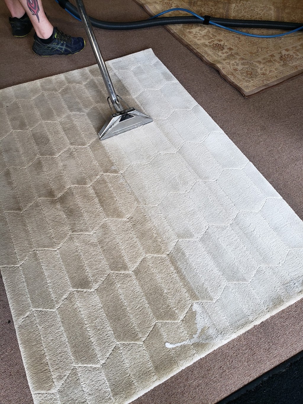 Dirtbusters Cleaning Inc | 83 Lake St, Hamburg, NY 14075, USA | Phone: (716) 536-1651