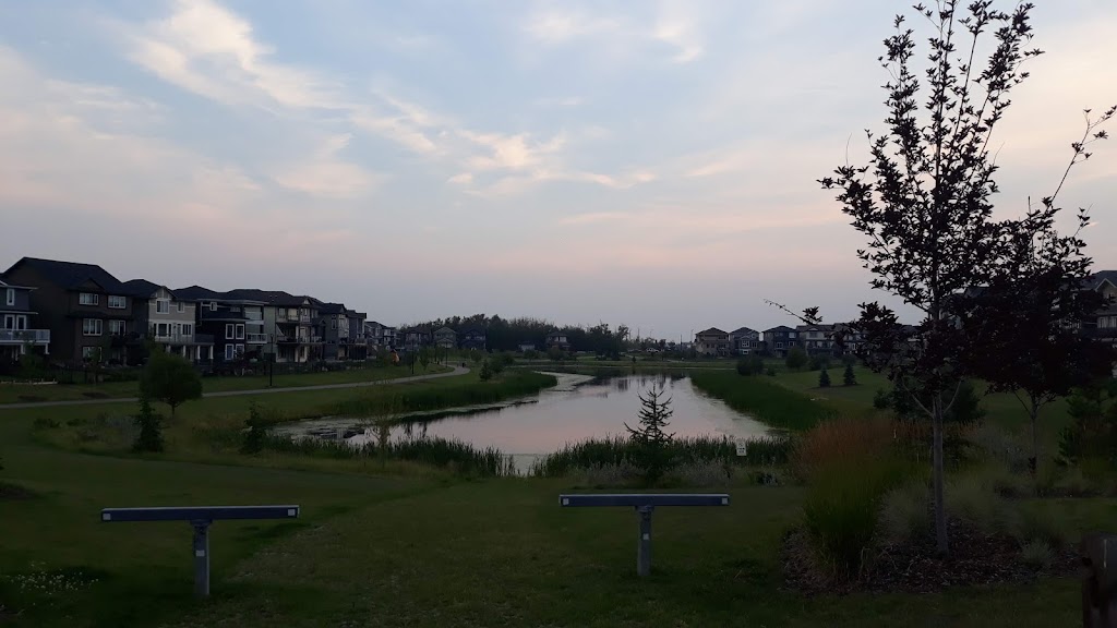 VITA at Crystallina Nera | 7707 181 Ave NW, Edmonton, AB T5Z 0G5, Canada | Phone: (780) 702-6601