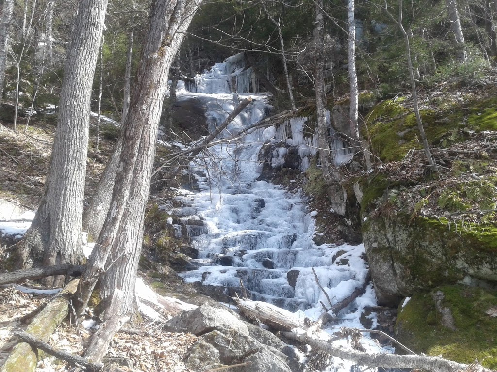 Mont Nixon | 285-237 Chemin du Canton Archambault, Lac-Supérieur, QC J0T 1P0, Canada | Phone: (819) 688-2281