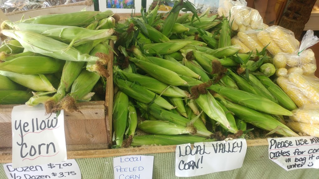 Falmouth Fruit & Vegetable Company | Nova Scotia Trunk 1, Falmouth, NS B0P 1L0, Canada | Phone: (902) 798-0200