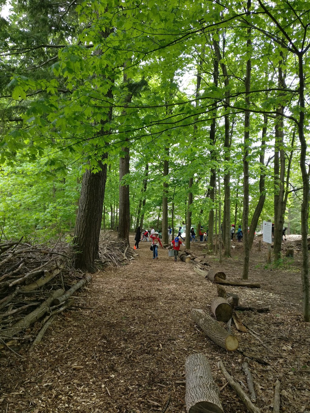 Forest Valley Outdoor Education Centre North York On M3h 4w5 Canada