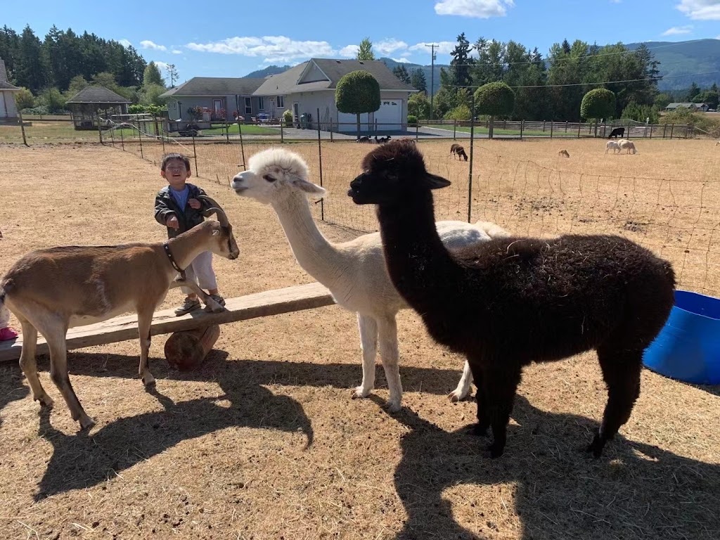 Misty Meadows Farm | 4805 Wilson Rd, Duncan, BC V9L 6L6, Canada | Phone: (778) 676-9666