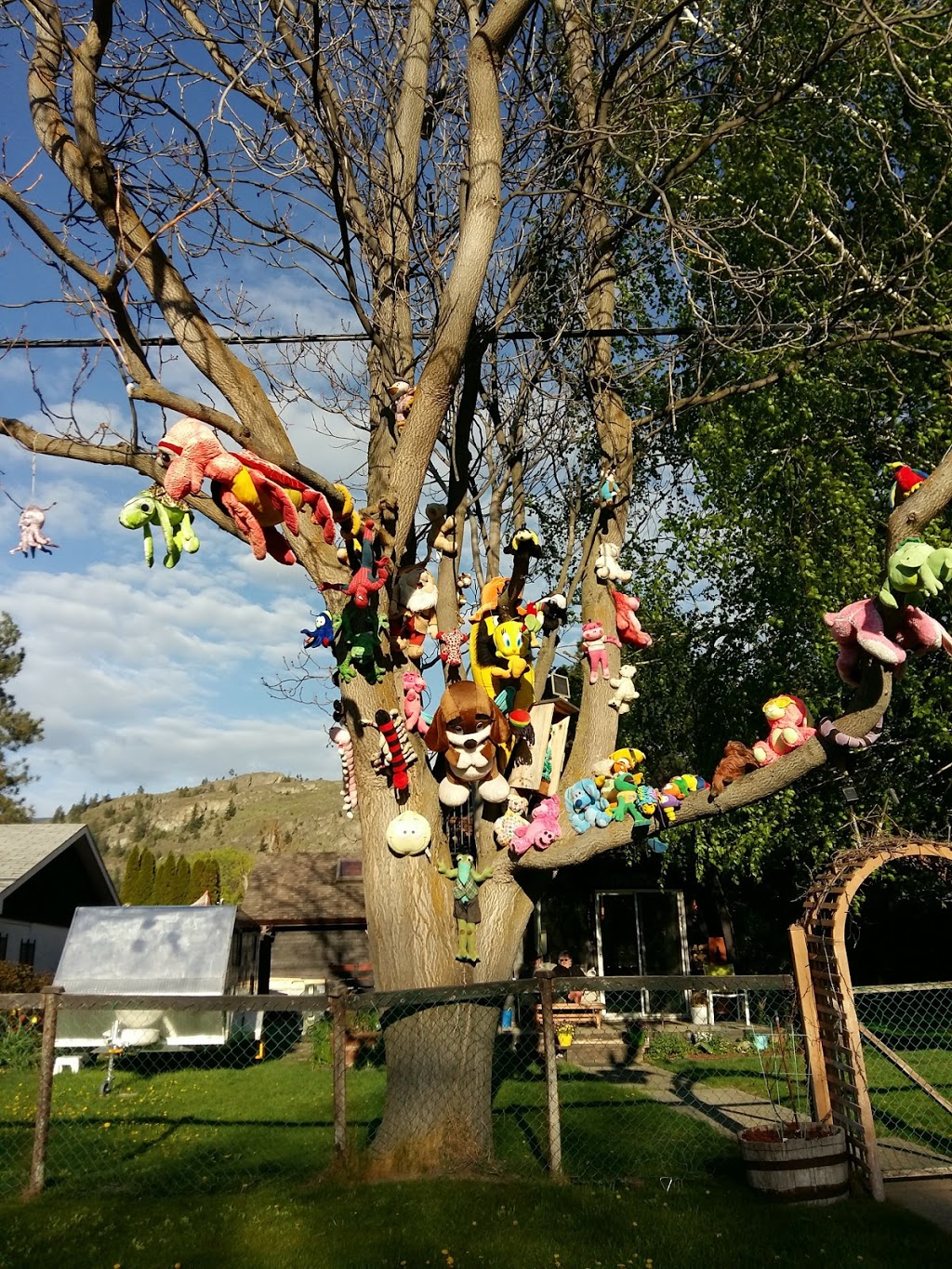 Kenyon Park | 5332 Cedar St, Okanagan Falls, BC V0H 1R4, Canada | Phone: (250) 497-8188
