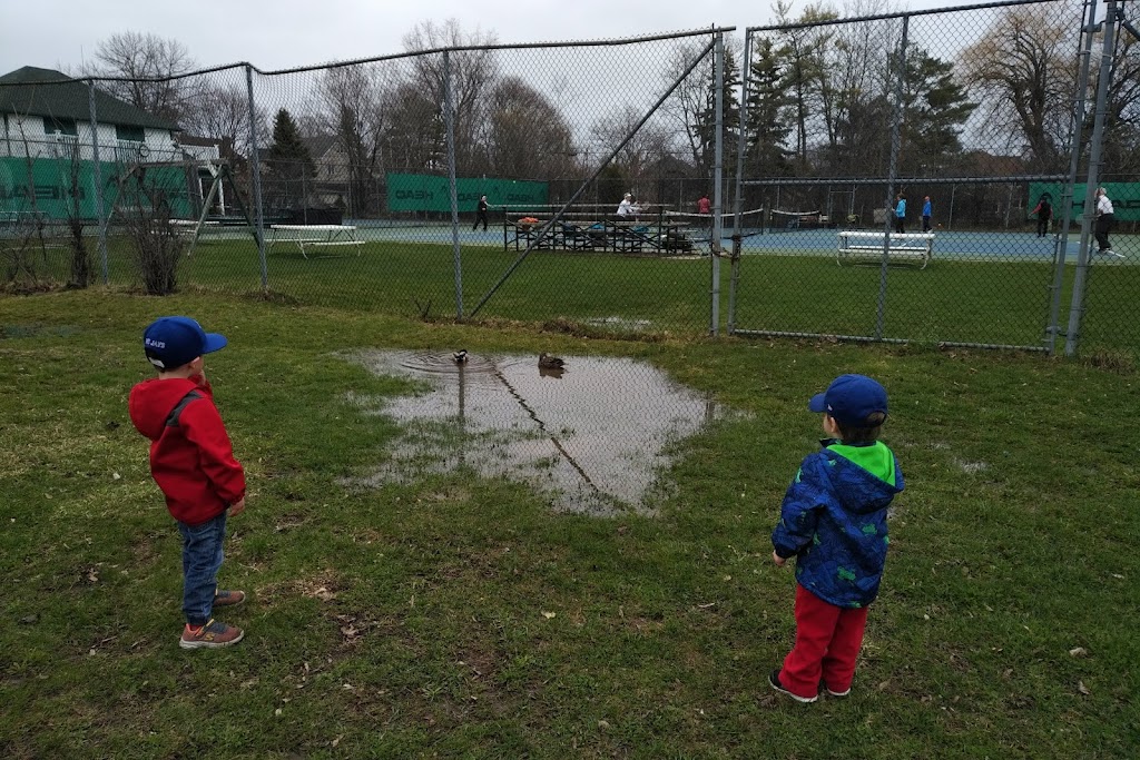 Kingston Tennis Club | 45 Napier St, Kingston, ON K7L 4X1, Canada | Phone: (613) 542-2467