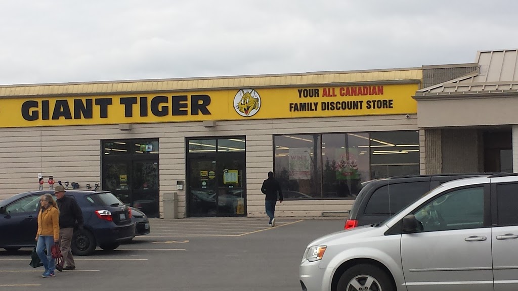 Giant Tiger | 249 St Catharines St Box 219, Smithville, ON L0R 2A0, Canada | Phone: (905) 957-1855