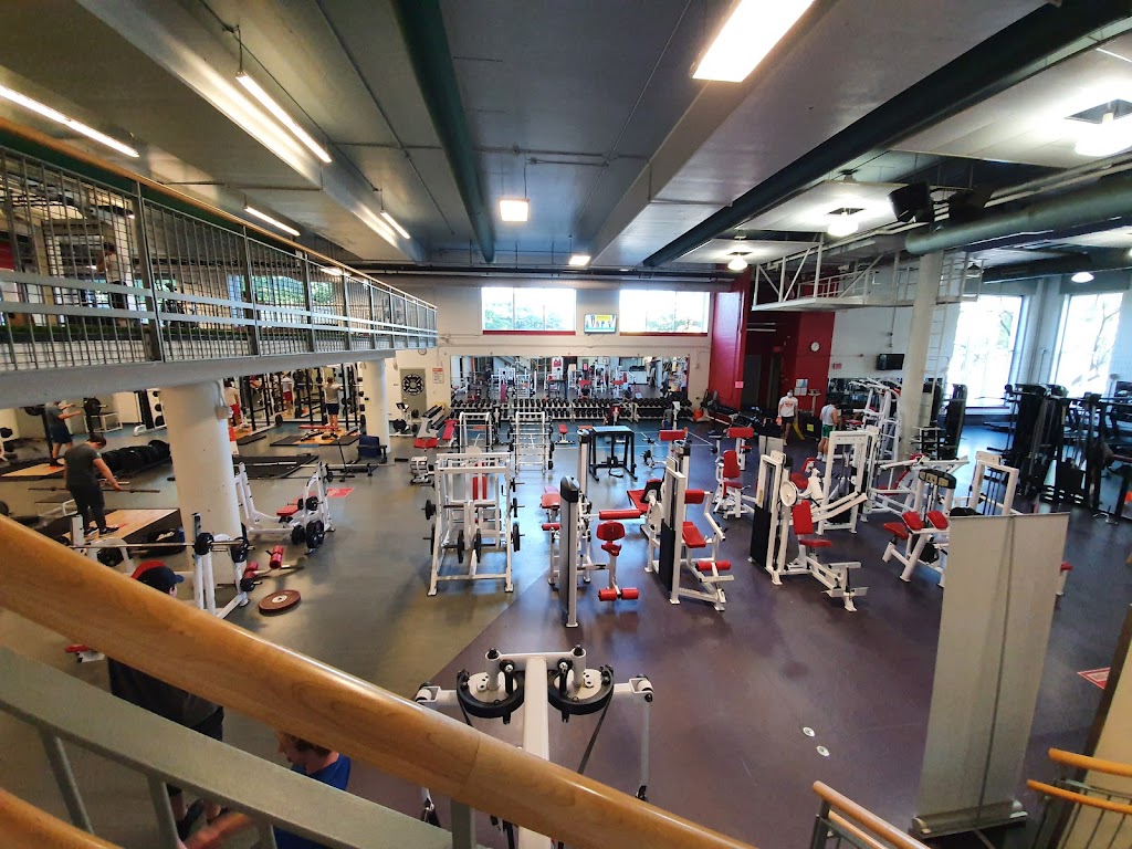 McGill Athletics and Recreation | 475 Av. des Pins, Montréal, QC H2W 1S4, Canada | Phone: (514) 398-7000
