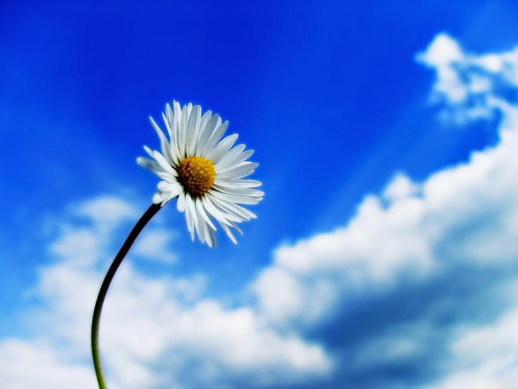 Kalamalka Cooling, Refrigeration, Heating & Air Conditioning | 2367 15 St, Vernon, BC V1T 3V3, Canada | Phone: (250) 307-6644
