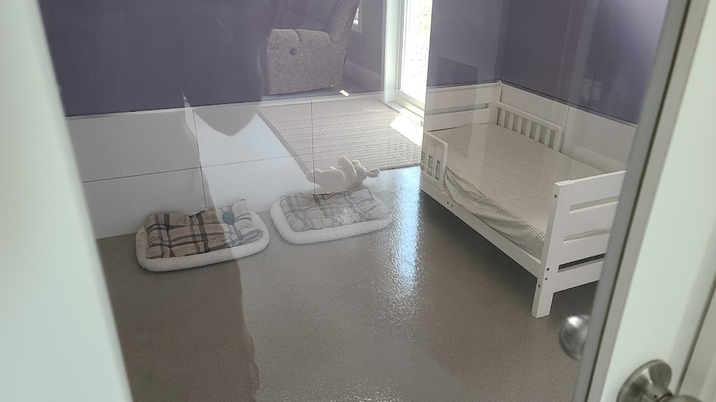 Happy Paws | 533 County Rd 4, Bath, ON K0H 1G0, Canada | Phone: (613) 572-0777