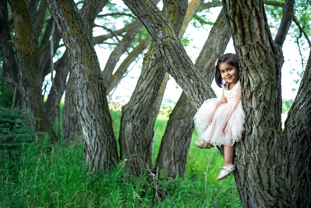 16 Seasons Photography | 31 Venice Blvd, Spruce Grove, AB T7X 0B7, Canada