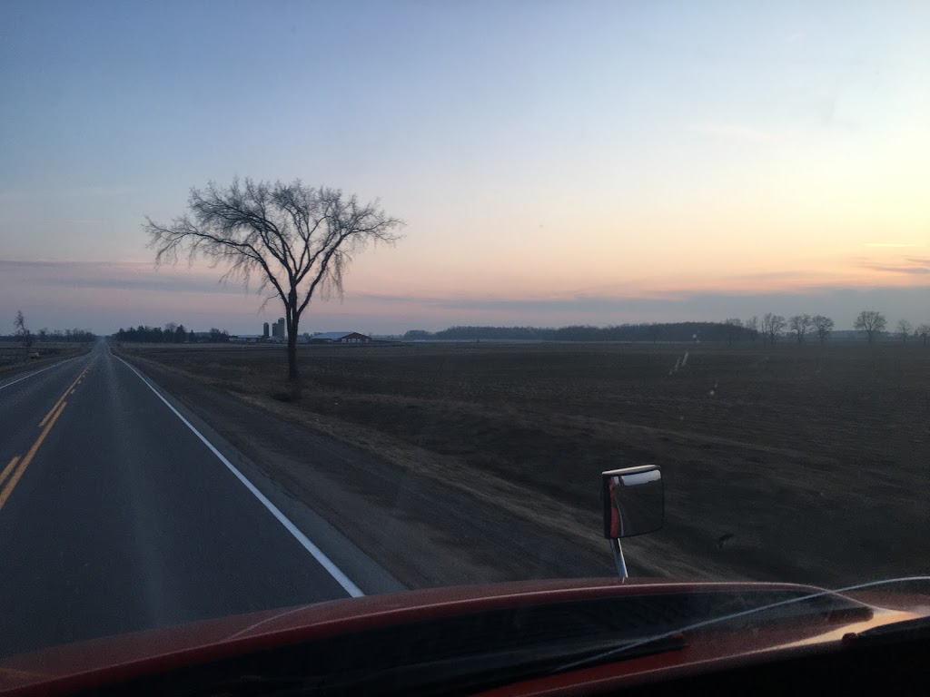Thomsvue Farms | South Huron, ON N0M 1V0, Canada | Phone: (519) 229-6819