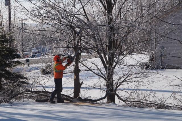 Beckett Tree Service | 318754, Grey Rd 1, Owen Sound, ON N4K 5N4, Canada | Phone: (519) 375-6274
