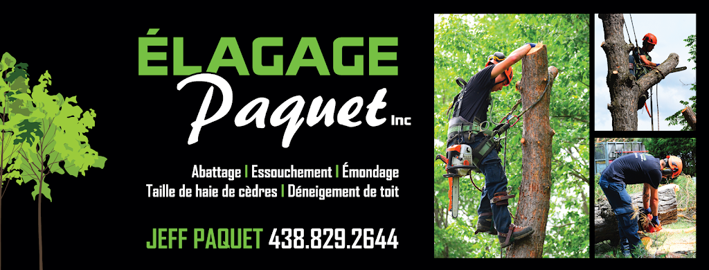 Élagage Paquet Inc. | 1546 22e Rue, Saint-Côme-Linière, QC G0M 1J0, Canada | Phone: (438) 829-2644