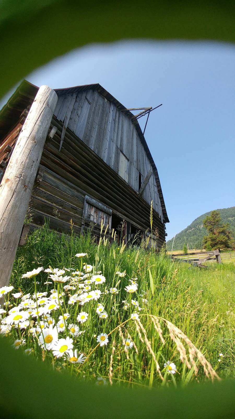 Holley Lane Bed & Breakfast | Holley Rd, Sparwood, BC V0B 2G3, Canada | Phone: (250) 425-2636