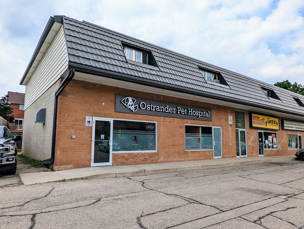 Ostrander Pet Hospital | 178 Alma St Unit 7&8, Guelph/Eramosa, ON N0B 2K0, Canada | Phone: (519) 605-0466