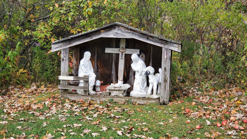 Greensides Farm | 15 Greenside Ln, Marmora, ON K0K 2M0, Canada | Phone: (613) 472-3715