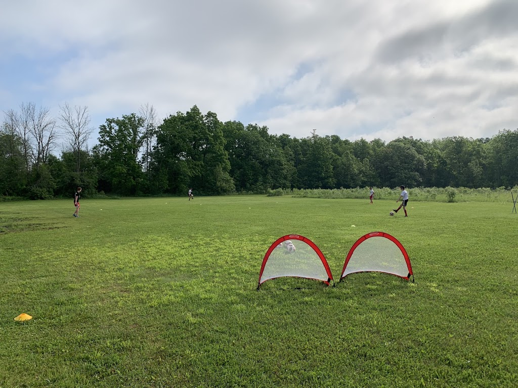 EURO PRO SOCCER ACADEMY | 288 Kemp Rd W, Grimsby, ON L3M 4E7, Canada | Phone: (905) 975-3996