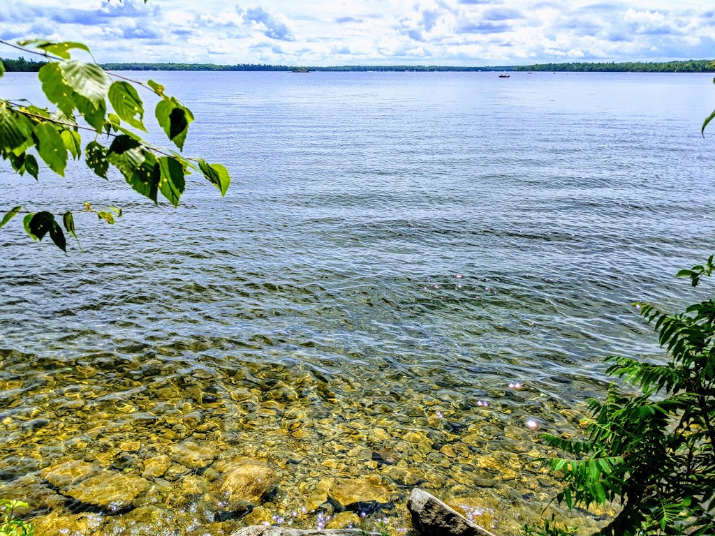 Balsam Lake Provincial Park Beach | Kawartha Lakes, ON K0M 1K0, Canada | Phone: (705) 454-3324