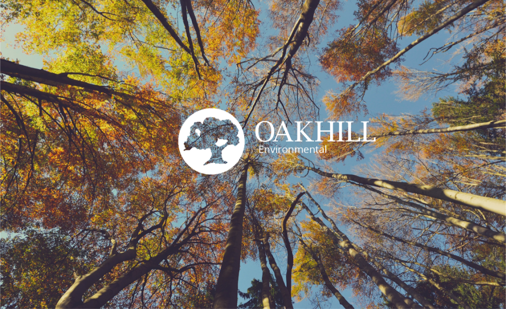 Oakhill Environmental | 16 Walnut St, St. Catharines, ON L2T 1H3, Canada | Phone: (905) 988-1243