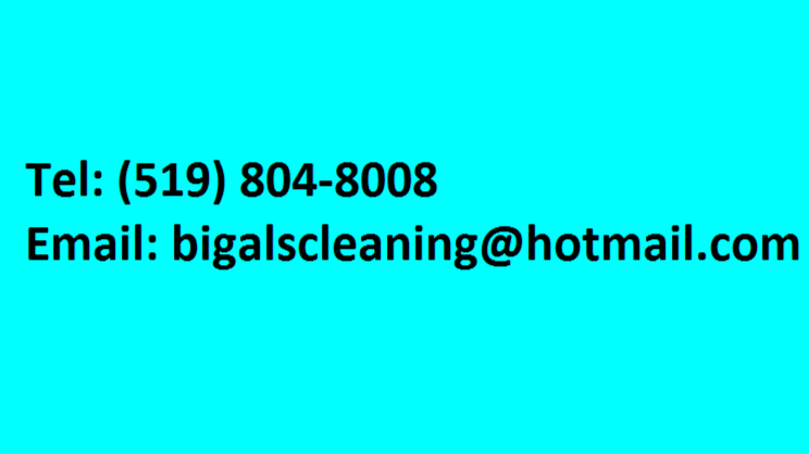 Big AL’s Cleaning Services | 432 Gatestone Blvd, Waterloo, ON N2T 2J3, Canada | Phone: (519) 804-8008