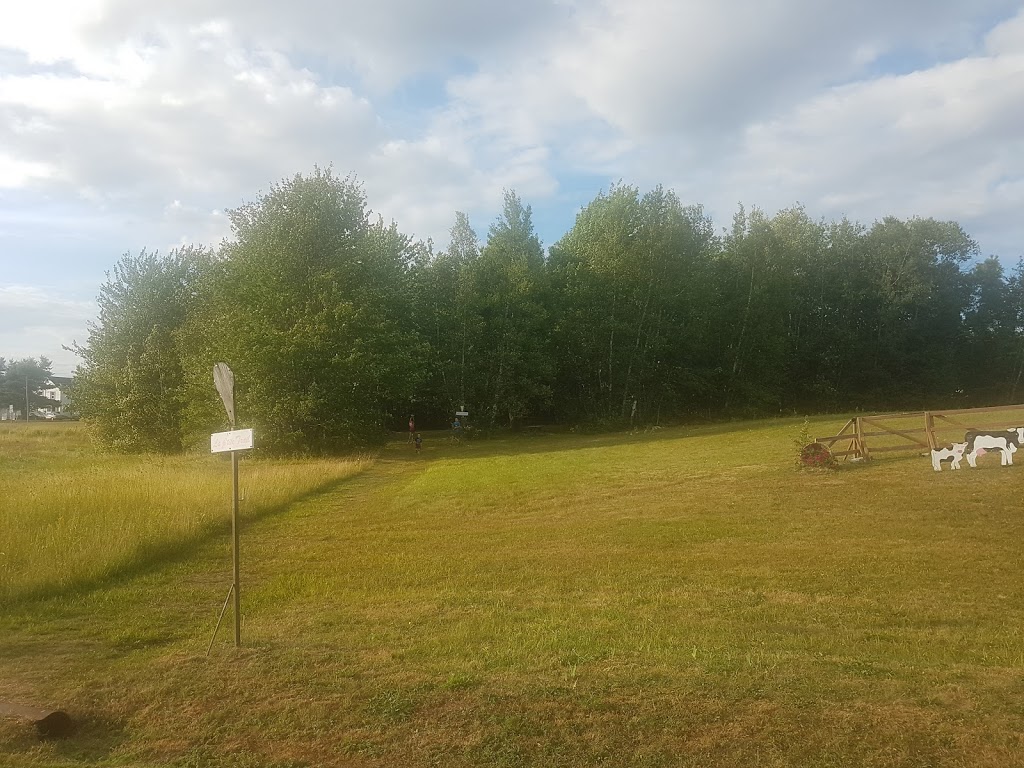St Antoine Dairy Bar | 4627 Rue Principale, Saint-Antoine, NB E4V 1P8, Canada | Phone: (506) 525-2694