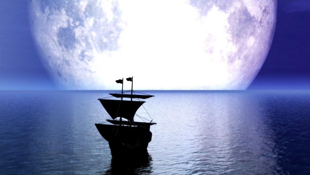 Maple Moon Web Design Inc | 151 Aldred Dr, Port Perry, ON L9L 1B4, Canada | Phone: (905) 985-5249