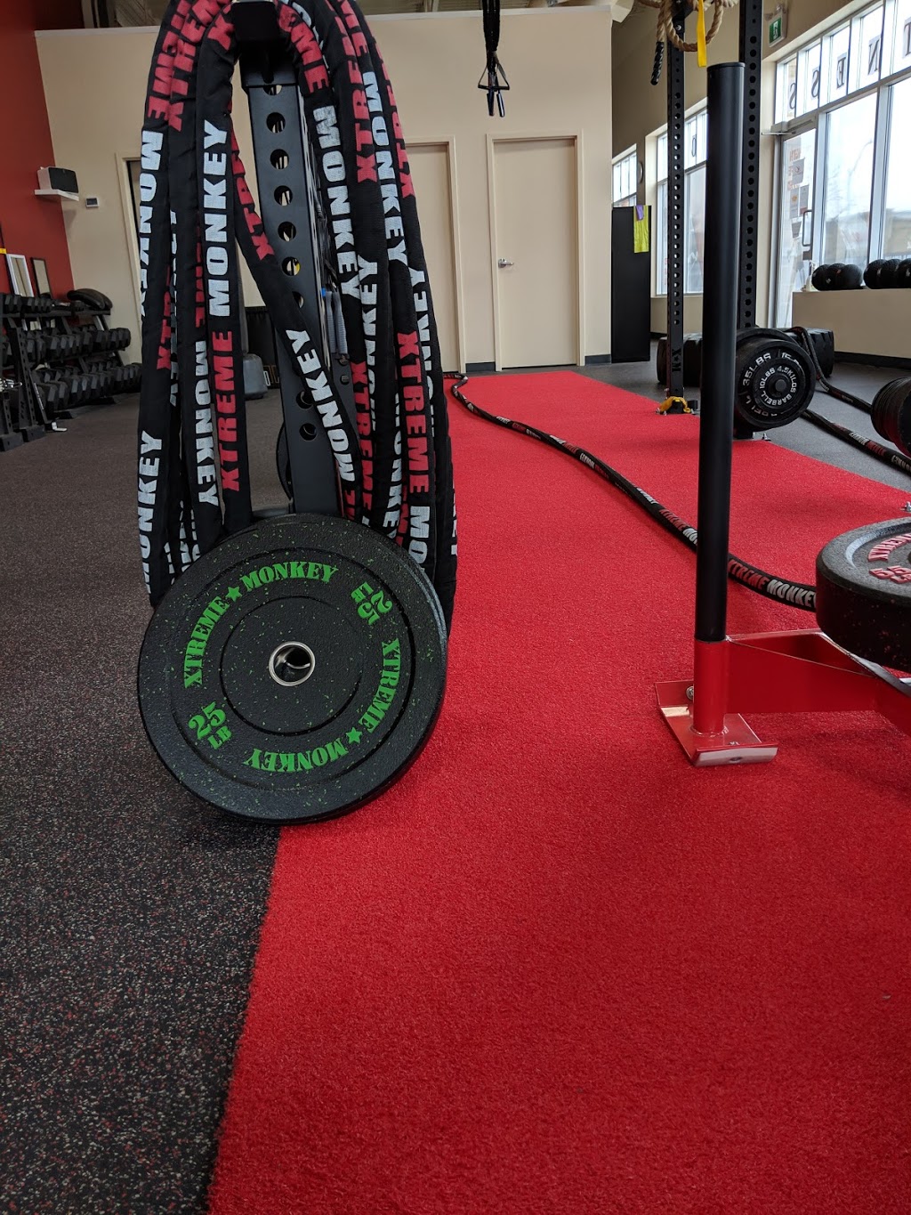 Life Drive Fitness | Kay Dental Care, 50 Dr Kay Dr, Schomberg, ON L0G 1T0, Canada | Phone: (647) 533-4735