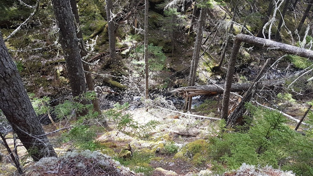 Indian Path Common Hiking Trail | Fish Peddler Rd, Riverport, NS B4V 2H1, Canada
