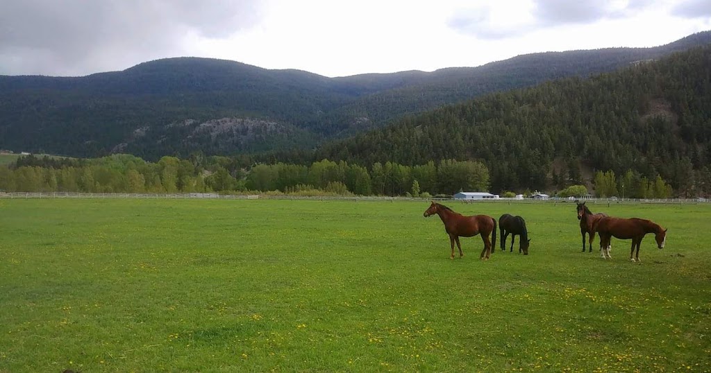 Winsome Meadows | 2288 Willgoose Rd, Merritt, BC V1K 1N7, Canada | Phone: (604) 902-0714