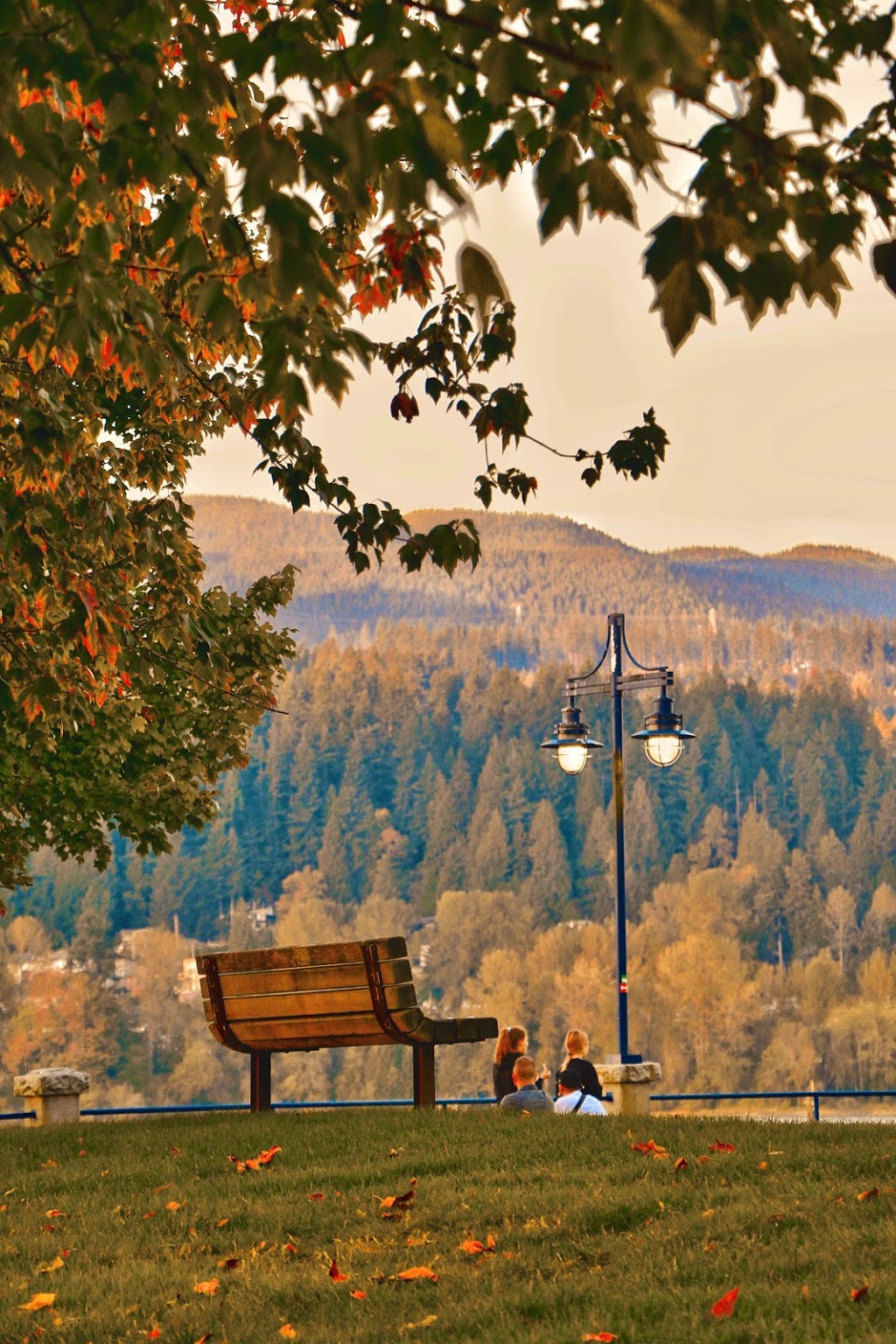 Photo srny | 660 Nootka Way, Port Moody, BC V3H 0B7, Canada | Phone: (778) 723-1353