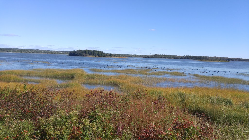 Saint Anselms Parish | 7037 NS-207, Head of Chezzetcook, NS B0J 1N0, Canada | Phone: (902) 827-2234
