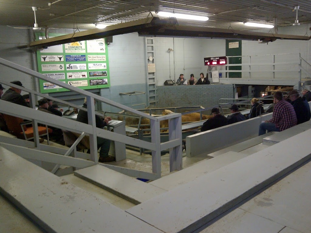 Brussels Livestock | R.R. # 3, Brussels, ON N0G 1H0, Canada | Phone: (519) 887-6461