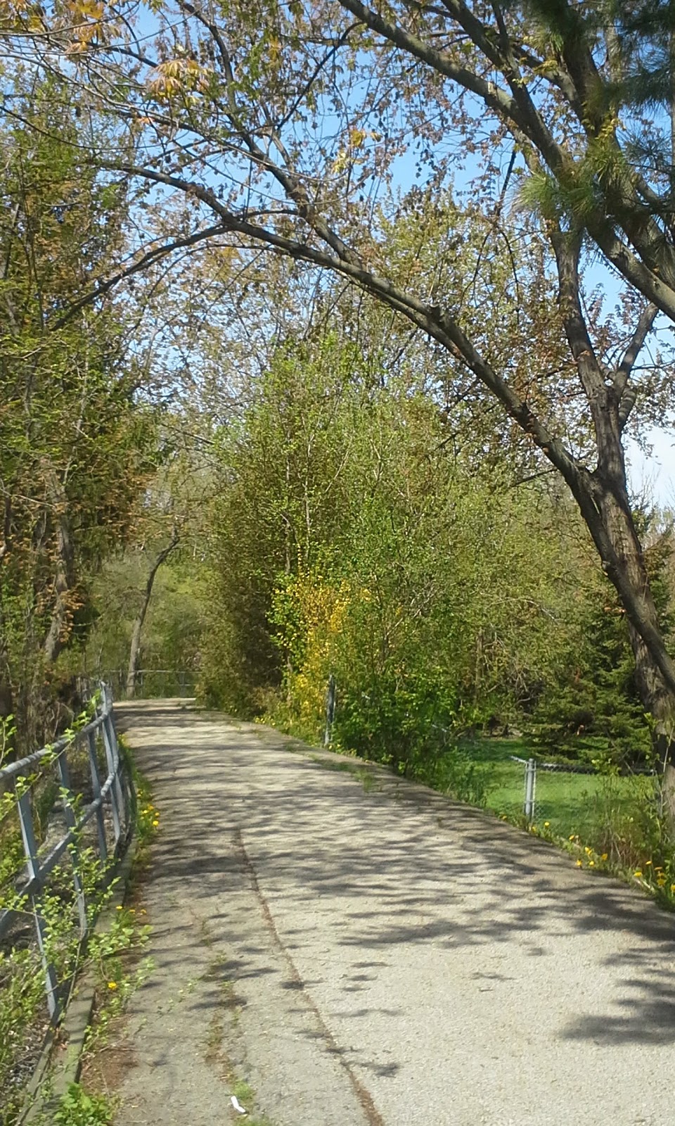Helen Molasy Memorial Park | 536 Richey Crescent, Mississauga, ON L5G 1N4, Canada | Phone: (905) 615-4311