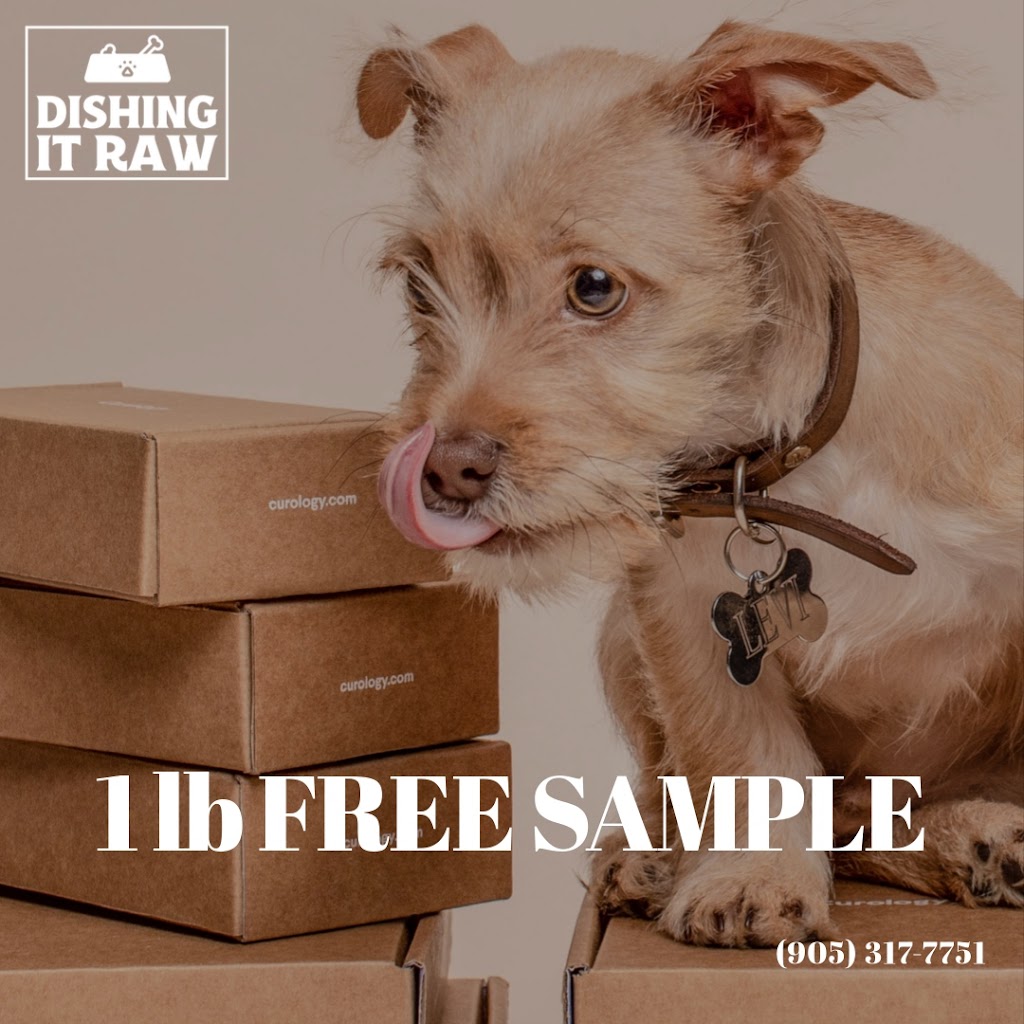 Dishing it Raw | 22 Magnificent Way, Binbrook, ON L0R 1C0, Canada | Phone: (905) 317-7751