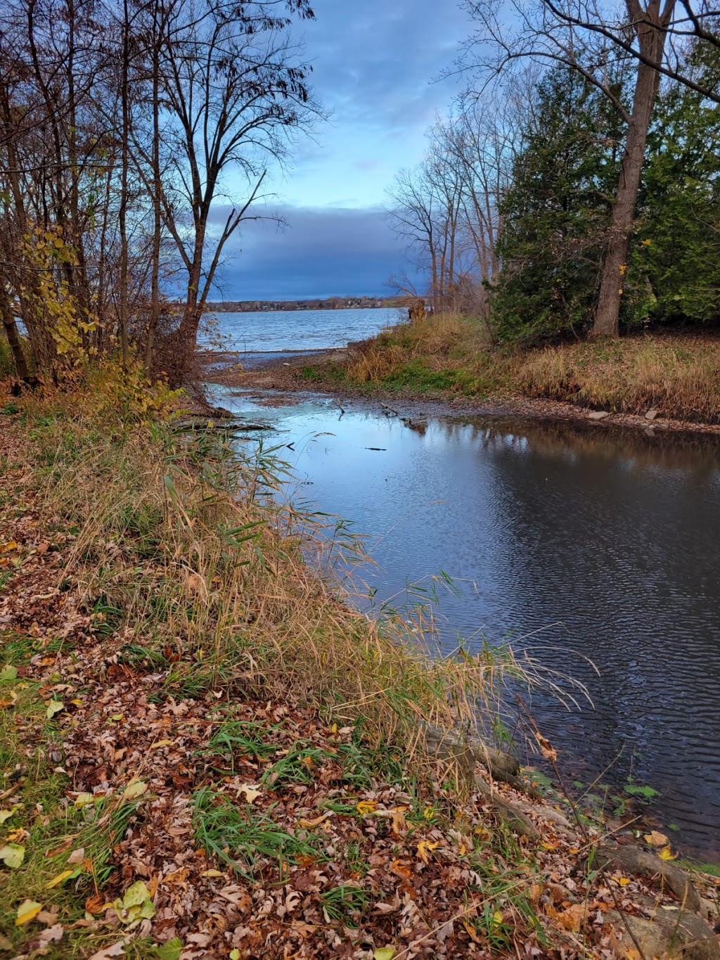 Hay Bay Hideaway Retreat and Conference Center | 73 Dorland Dr, Greater Napanee, ON K7R 3K7, Canada | Phone: (647) 221-9834