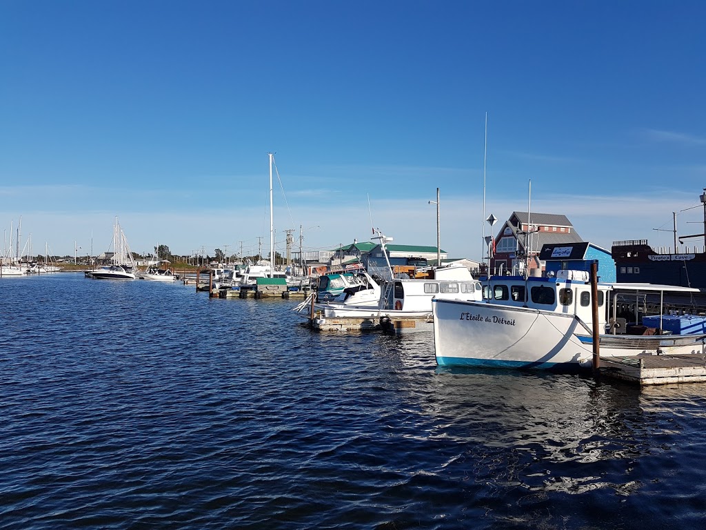 Croisières Shediac Bay Cruises | 60 Pointe-du-Chêne Wharf Rd, Pointe-du-Chêne, NB E4P 4V8, Canada | Phone: (506) 532-2175