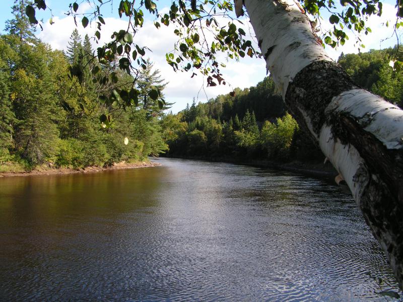 Mark Mira Mirla | 7212 Chemin du Rapide, Rivière-Rouge, QC J0T 1T1, Canada | Phone: (514) 572-2627