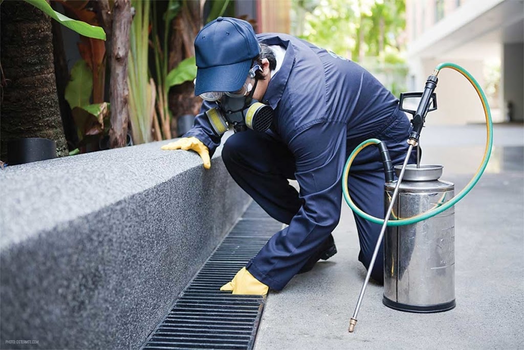 Waynes Pest Extermination | 5339 Bank St, Gloucester, ON K1X 1H1, Canada | Phone: (613) 883-0792