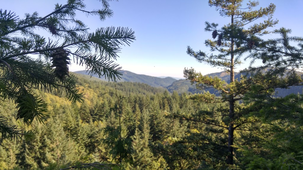 Raptor Ridge Overlook | Raptor Ridge Trail, Bellingham, WA 98229, USA