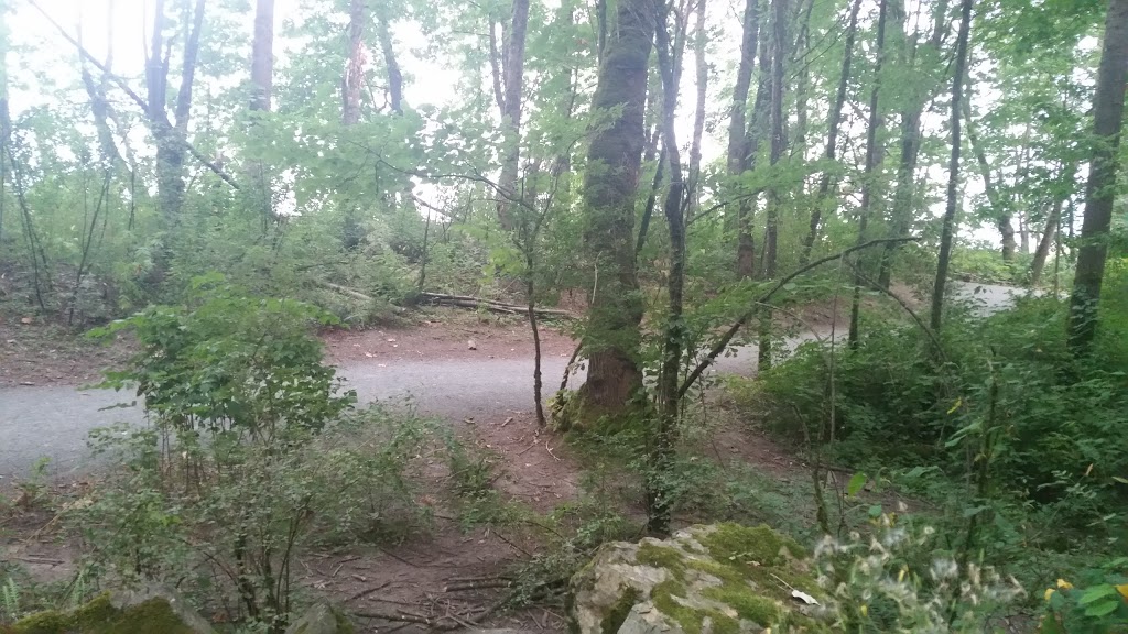 MacKay Creek Trail | 4010-4102 Lakemount Rd, Abbotsford, BC V3G 2J1, Canada