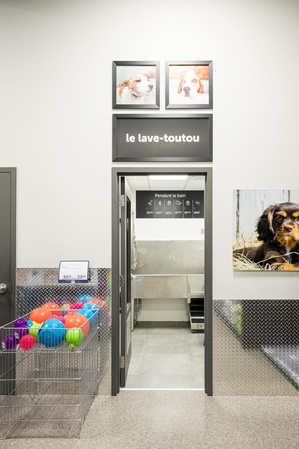 Mondou | 469 QC-273, Saint-Apollinaire, QC G0S 2E0, Canada | Phone: (418) 431-0423
