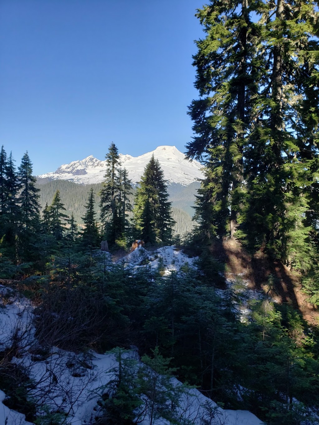 Blue Lake/Dock Butte Trailhead | NF-1230, Concrete, WA 98237, USA | Phone: (425) 783-6000