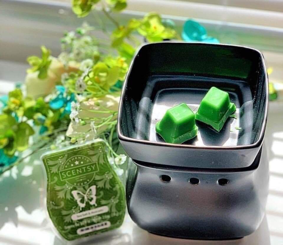 Valérie beauchamp conseillère indépendante scentsy | 38 12e Av., Saint-Hippolyte, QC J8A 1E3, Canada | Phone: (514) 240-3517