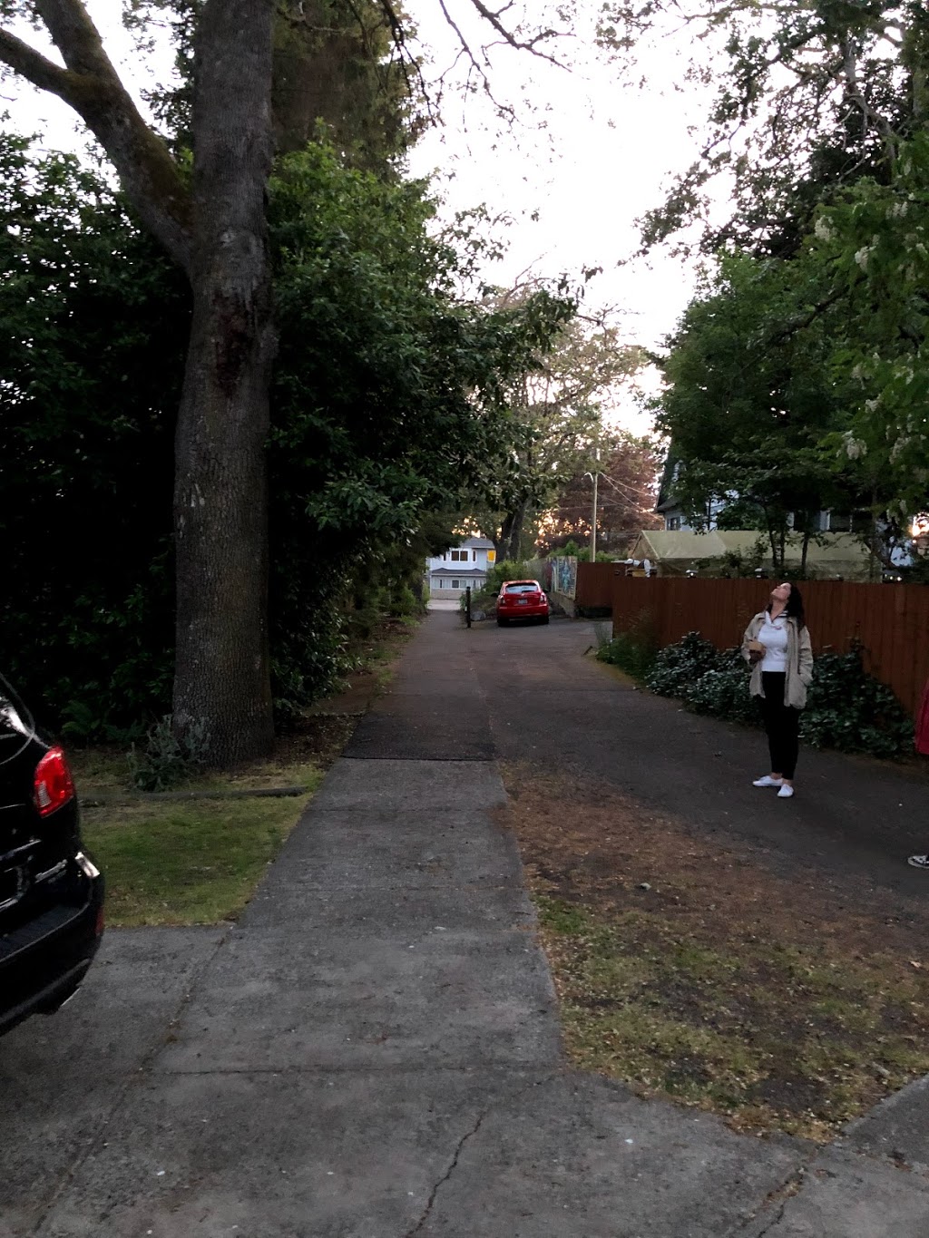 Emerson’s Way | 1706 Emerson St, Victoria, BC V8R 2C3, Canada